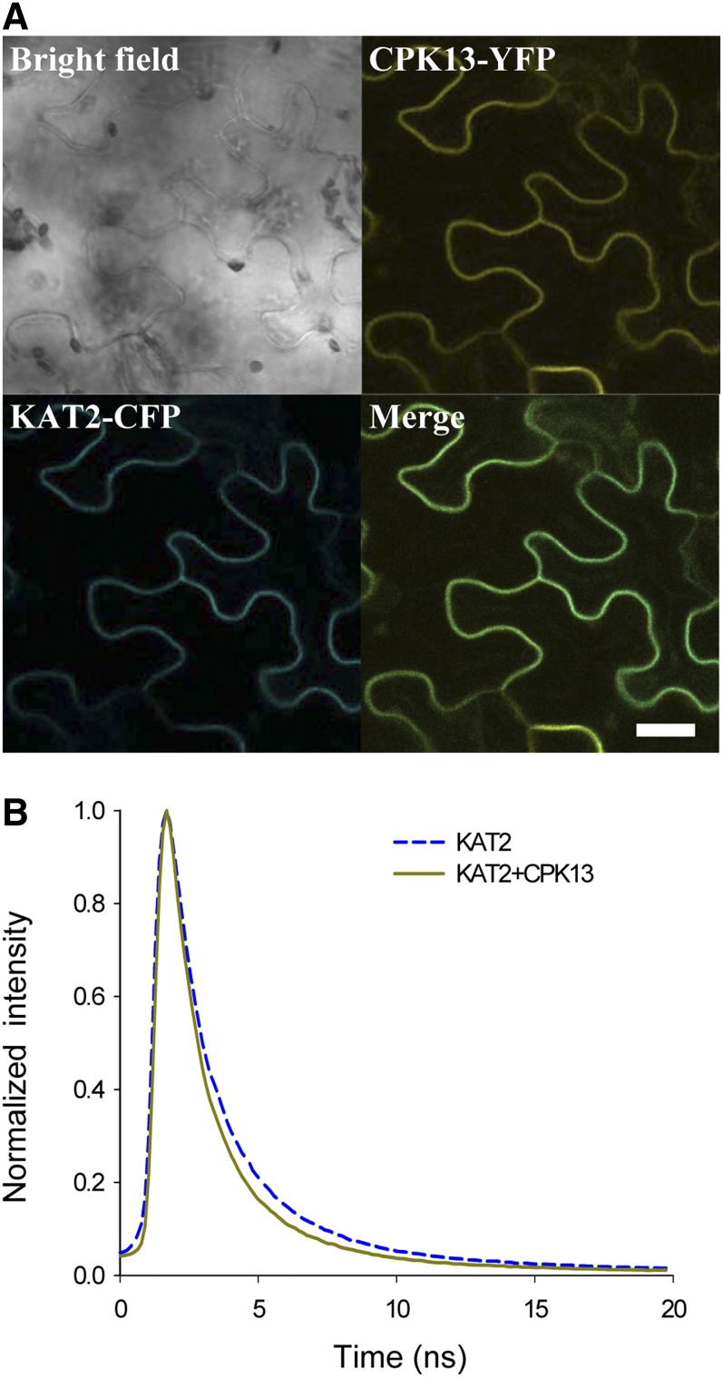 Figure 4.