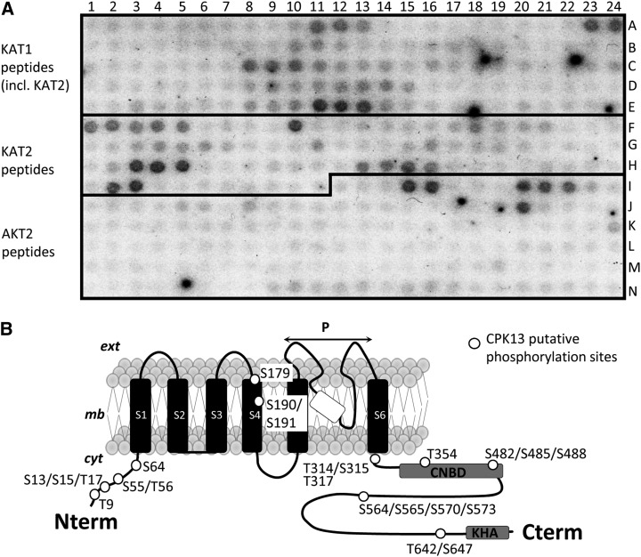 Figure 5.