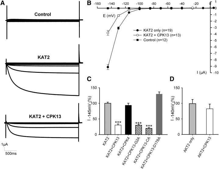 Figure 6.