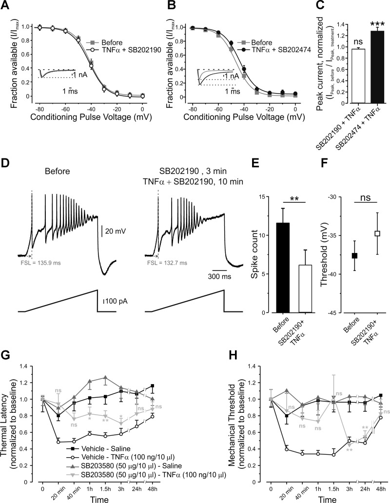 Fig. 8.