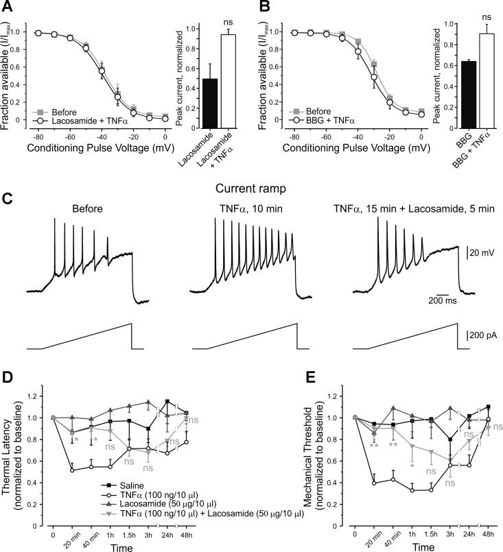 Fig. 10.