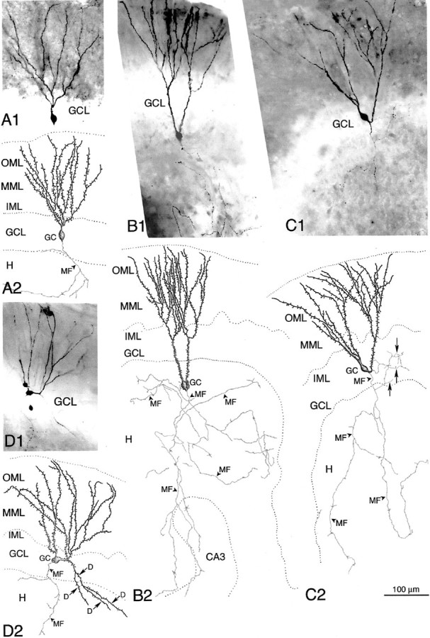 Fig. 9.