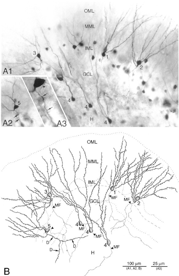 Fig. 8.