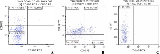 Fig. 9