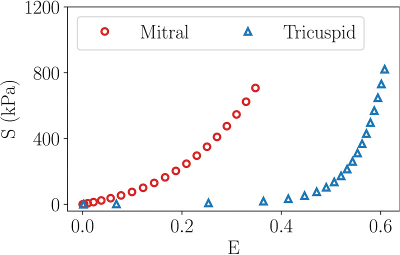 The uni-axial stress–strain response comparison between the mitral and tricuspid properties. The mitral tissue displays a quadratic stress–strain relationship, whereas the tricuspid tissue displays an exponential relationship.