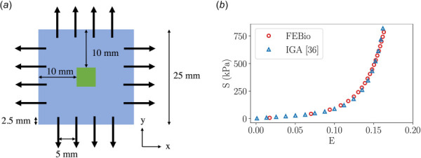 Biaxial testing setup: (a) The geometry and loading condition of the square specimen. The black arrows are spaced 5 mm apart on each edge and indicate the direction of the applied loads. A 2.5 N nodal force was applied at the starting point of each arrow. The 5 mm by 5 mm green patch situated at the center of the specimen denotes the region of interest (ROI) for the stress and strain response. (b) The mean stress and strain curve in the x-direction at the ROI. FEBio's approximation displays excellent alignment compared with IGA approximation. Note: stress and strain in the y-direction were identical to those in the x-direction.