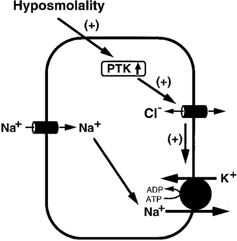 Figure 17