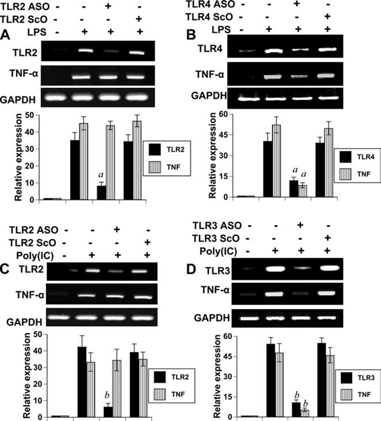 FIGURE 4