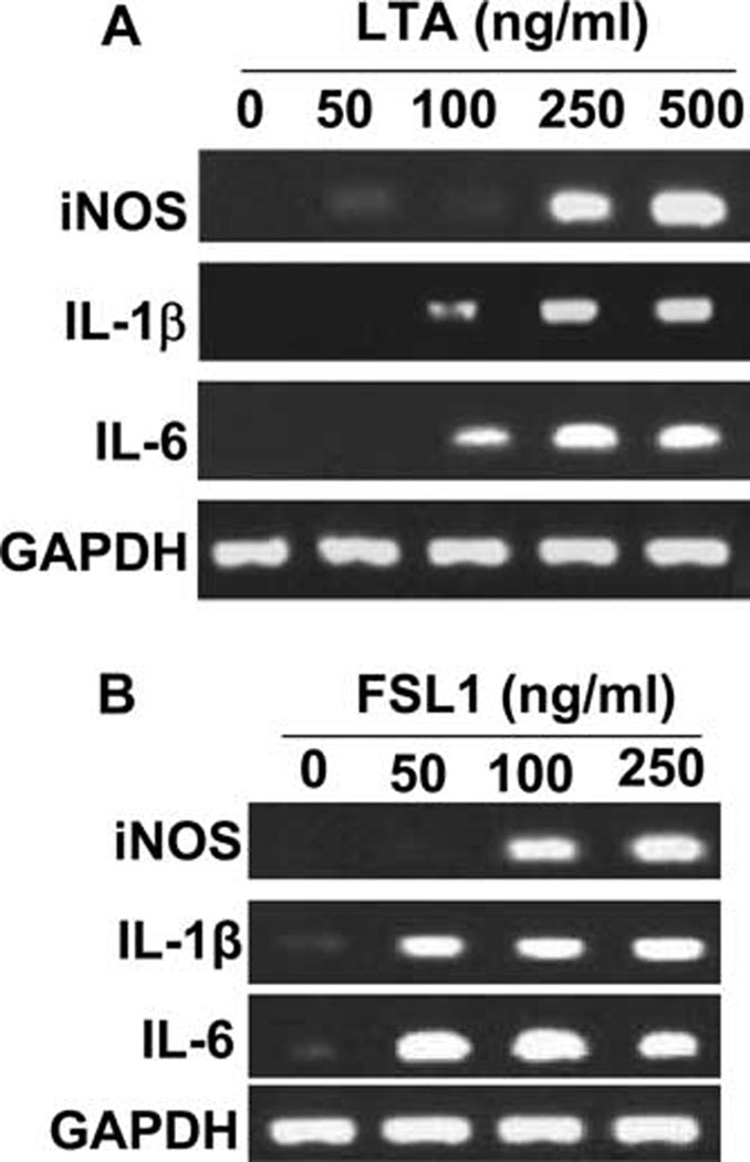 FIGURE 9