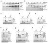 Extended Data Figure 3