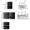 Extended Data Figure 2