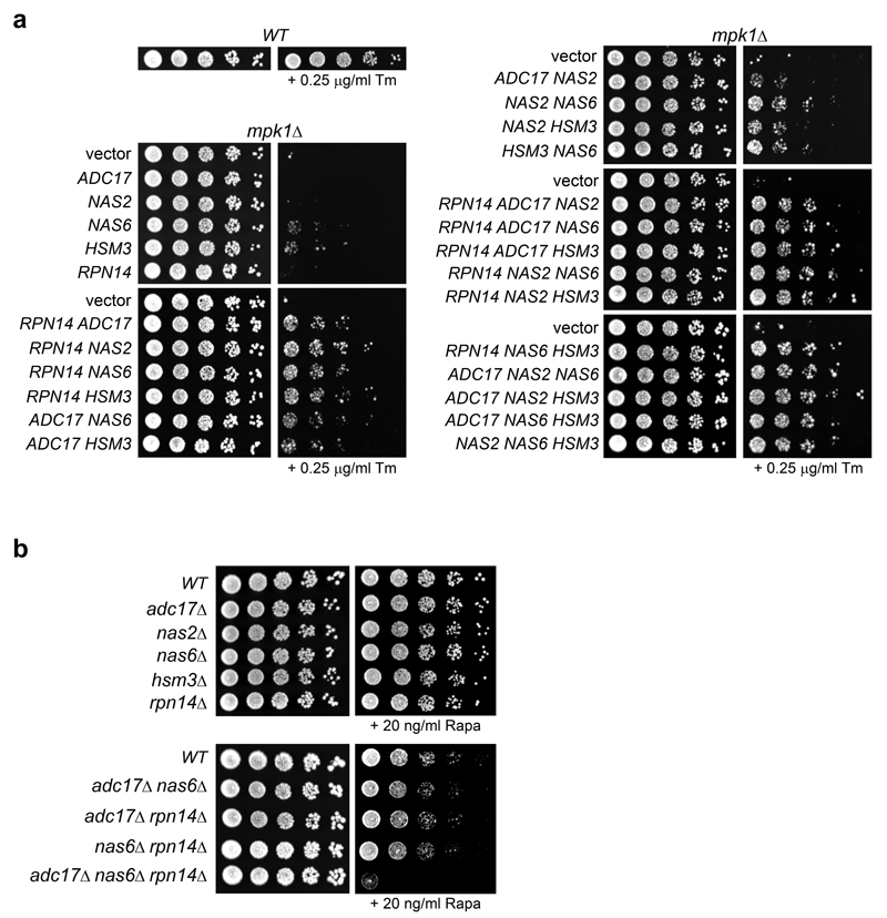 Extended Data Figure 4