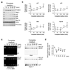 Extended Data Figure 9