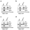 Extended Data Figure 5