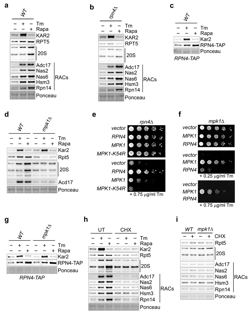 Extended Data Figure 6