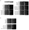 Extended Data Figure 4