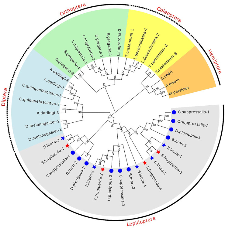 FIGURE 2