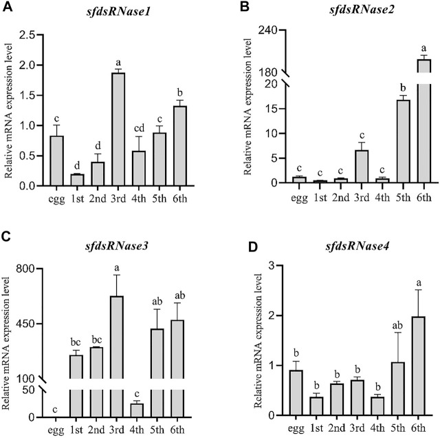 FIGURE 4