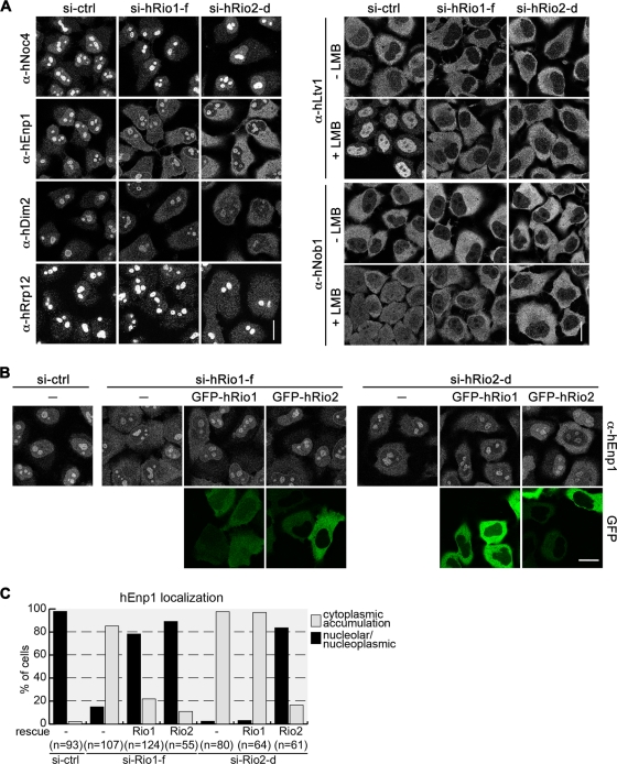 FIGURE 6: