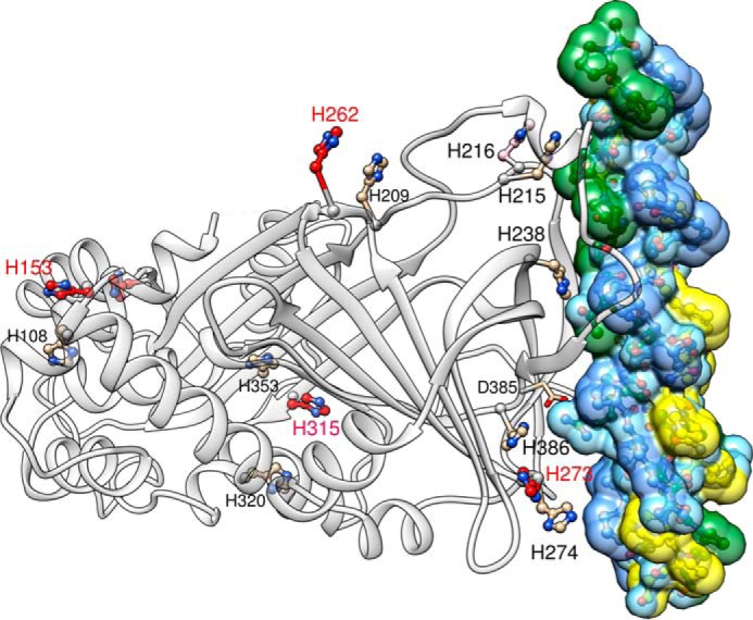 FIGURE 1.