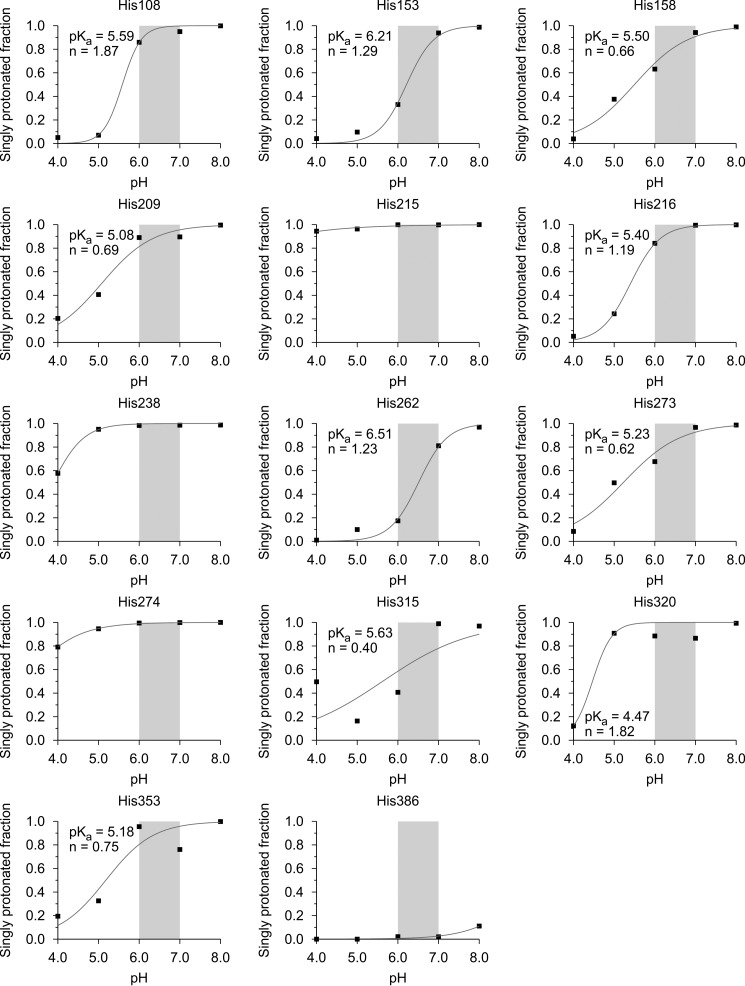 FIGURE 3.