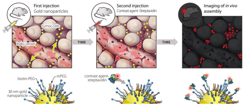 Figure 24