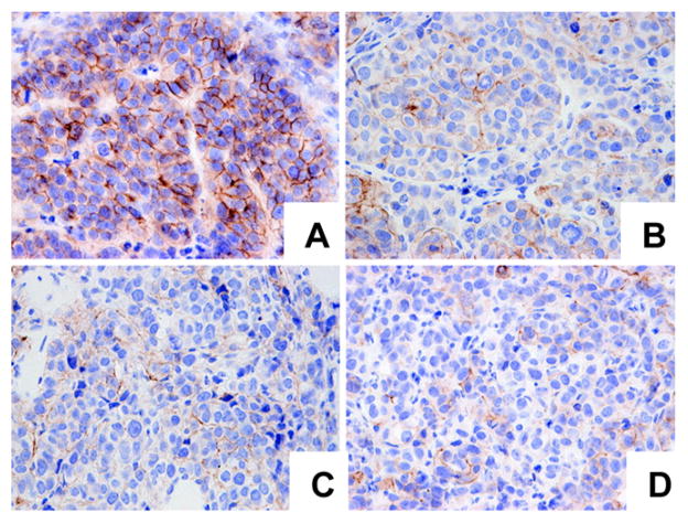 Figure 28