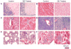 Figure 21