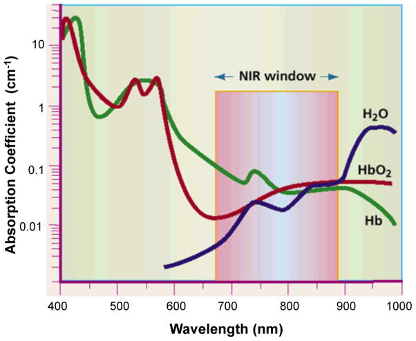 Figure 19