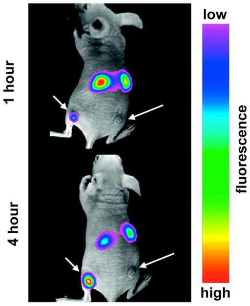 Figure 26