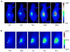 Figure 29