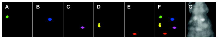 Figure 22