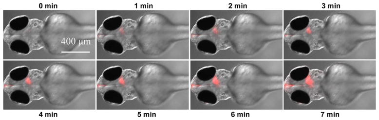 Figure 23