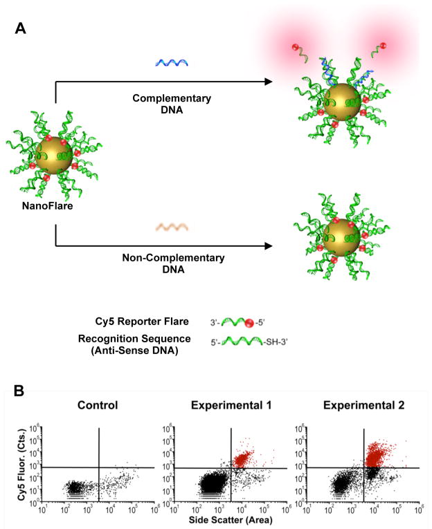 Figure 18