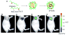 Figure 27