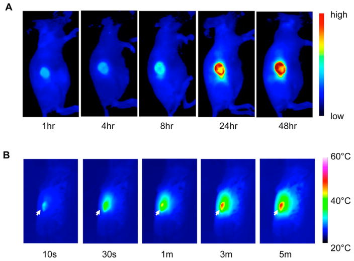 Figure 29