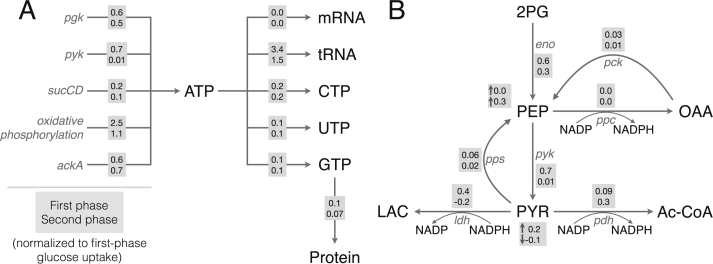 Fig. 6