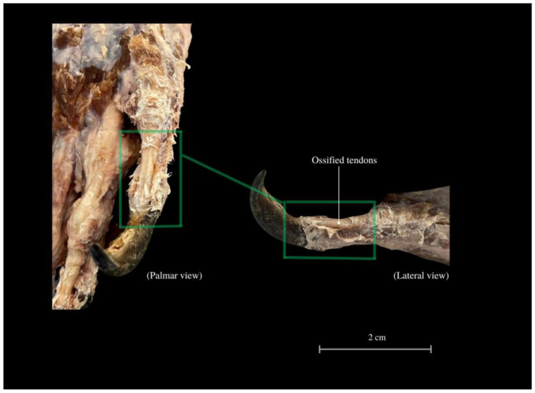 Figure 11