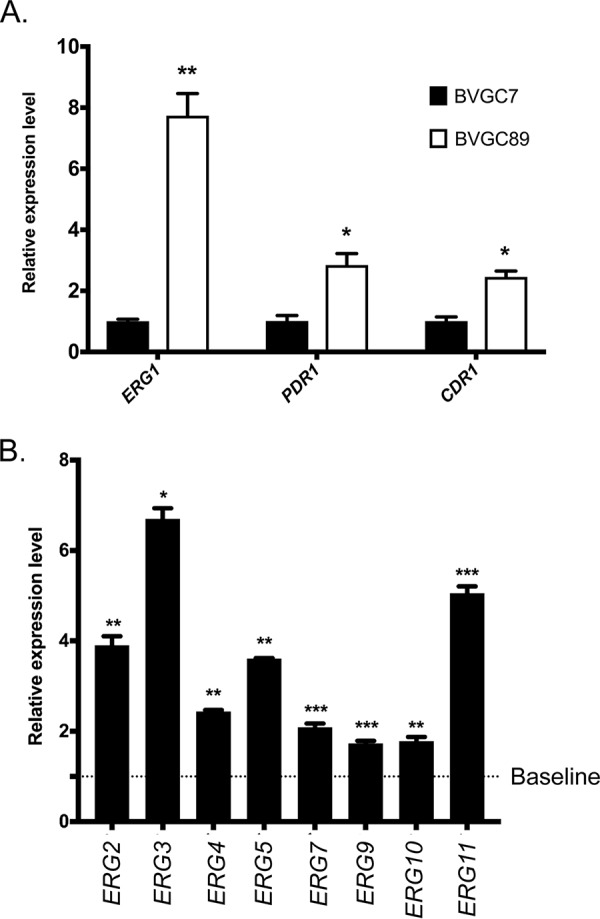 FIG 6