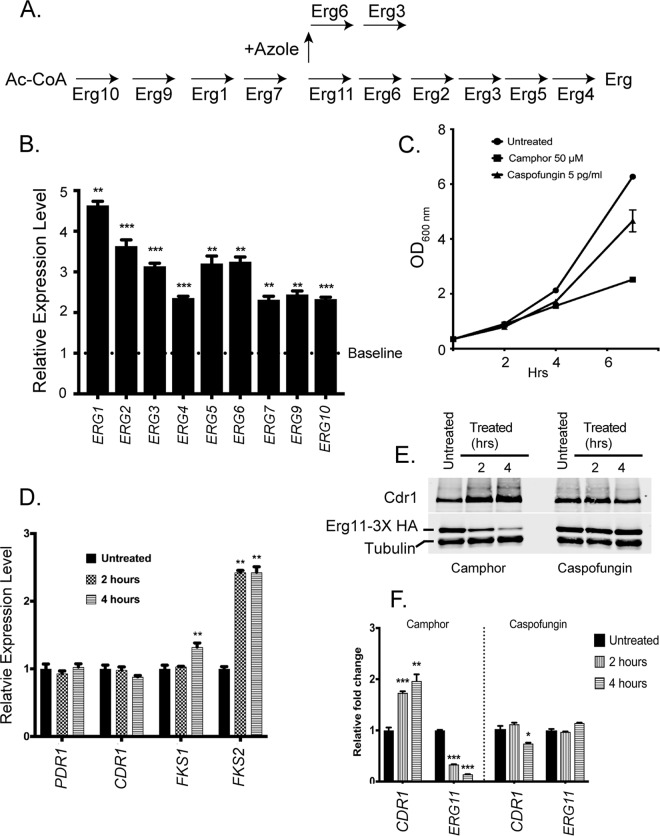 FIG 4