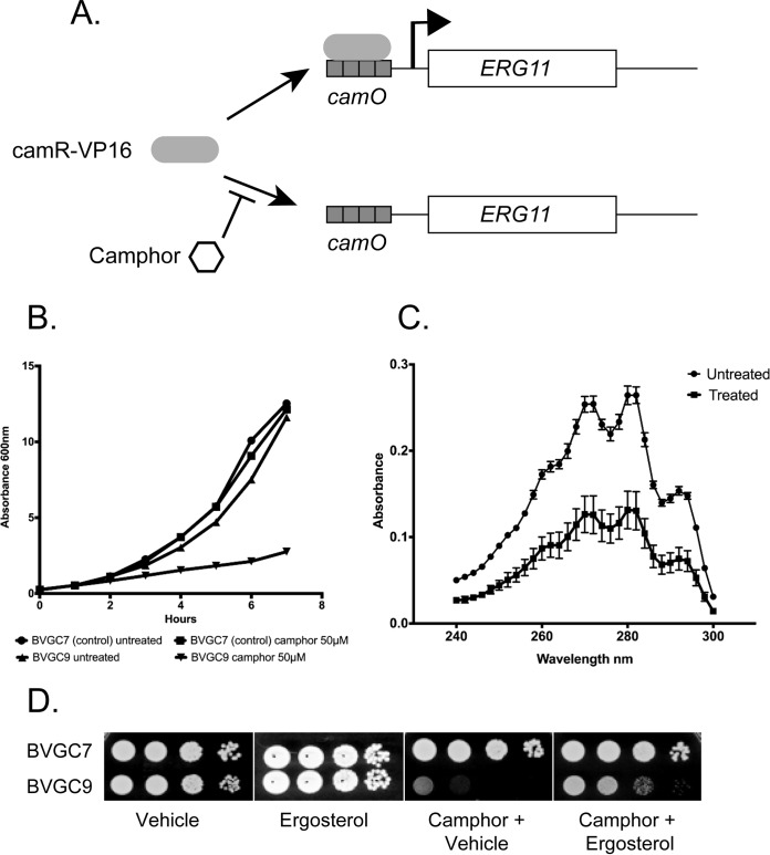 FIG 2