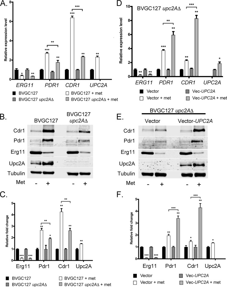 FIG 8