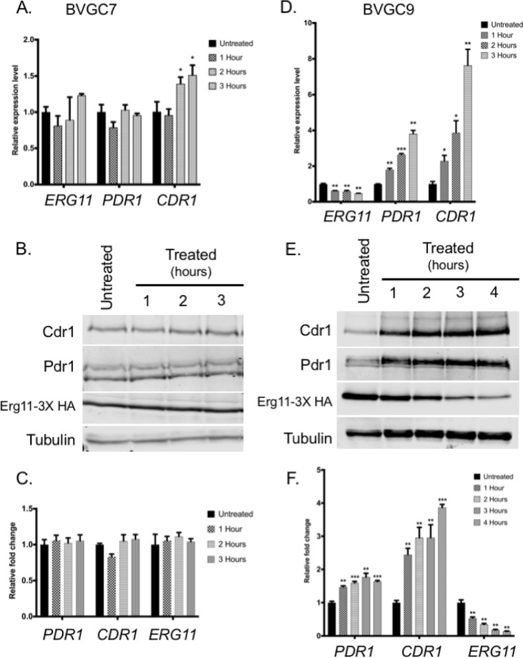 FIG 3