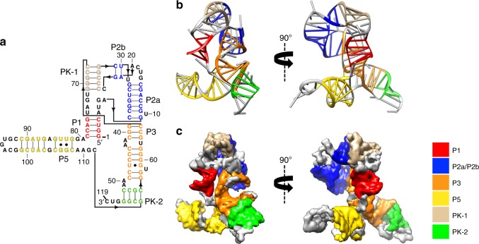 Fig. 2