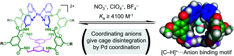 graphic file with name d1cc02663a-ga.jpg