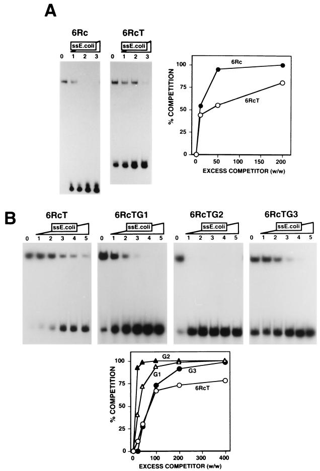 FIG. 5