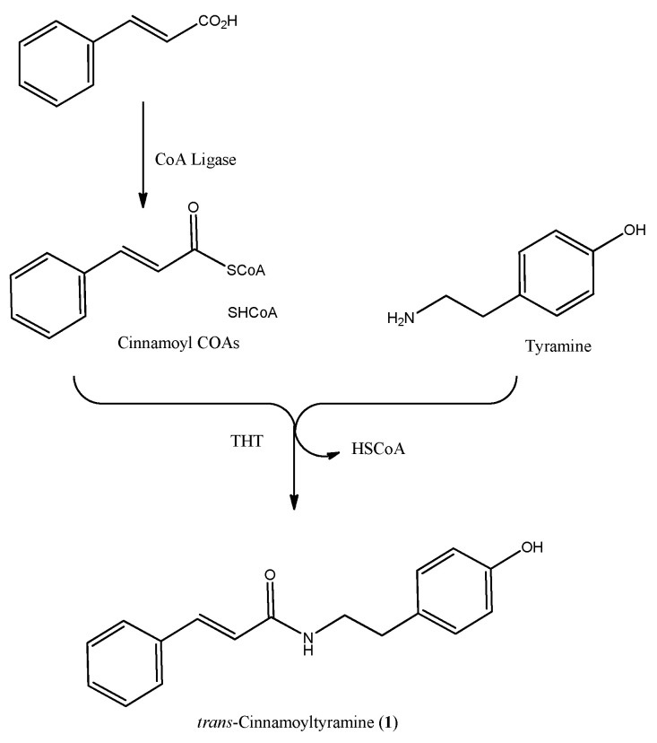 Scheme 3