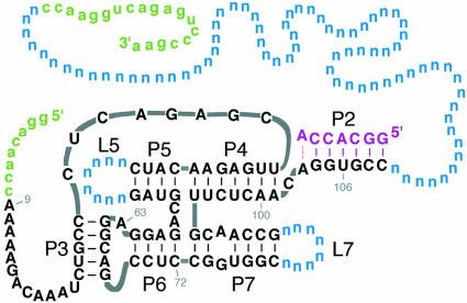 FIGURE 1.