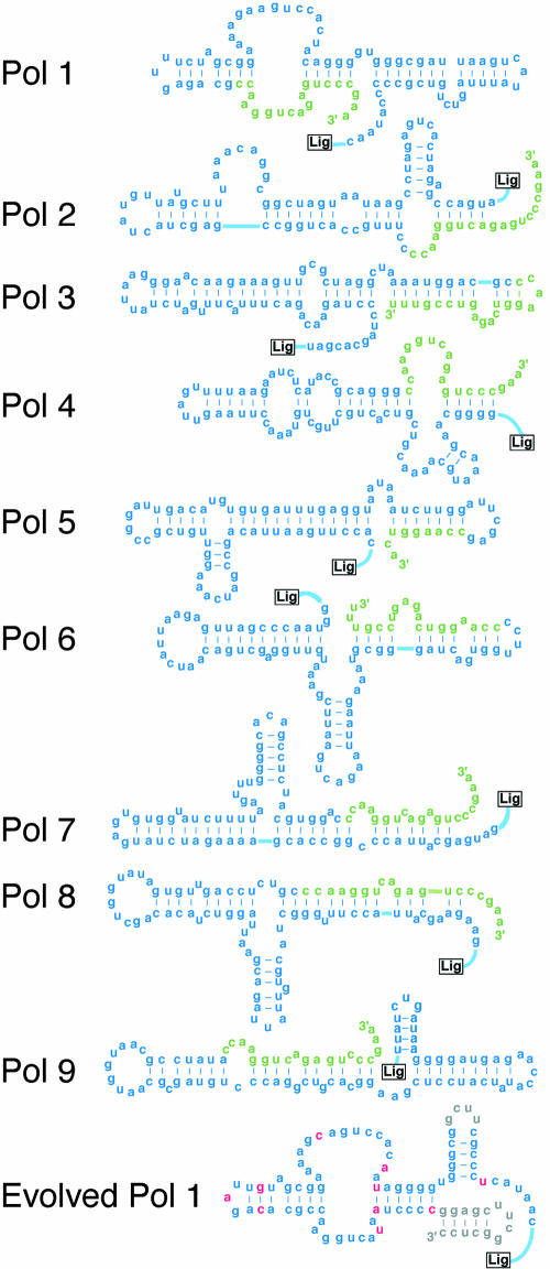 FIGURE 3.