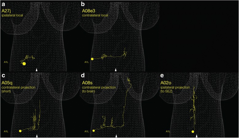 Fig. 3